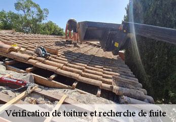 Vérification de toiture et recherche de fuite   M.Reinhardt