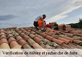 Vérification de toiture et recherche de fuite M.Reinhardt