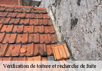 Vérification de toiture et recherche de fuite M.Reinhardt