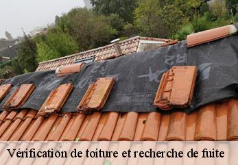 Vérification de toiture et recherche de fuite M.Reinhardt