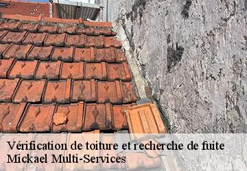 Vérification de toiture et recherche de fuite Mickael Multi-Services