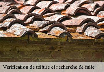 Vérification de toiture et recherche de fuite