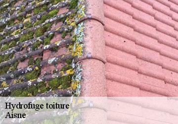Hydrofuge toiture Aisne