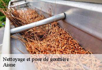 Nettoyage et pose de gouttière 02 Aisne M.Reinhardt