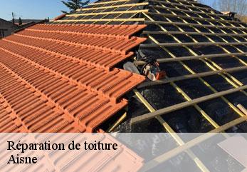 Réparation de toiture 02 Aisne M.Reinhardt