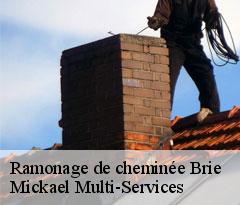 Ramonage de cheminée brie-02870 Mickael Multi-Services