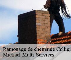Ramonage de cheminée colligis-crandelain-02860 Mickael Multi-Services