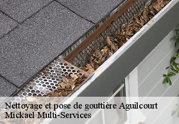 Nettoyage et pose de gouttière aguilcourt-02190 Mickael Multi-Services