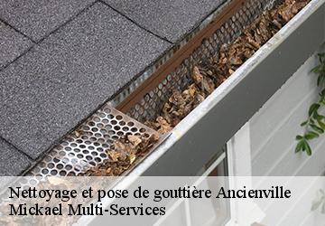 Nettoyage et pose de gouttière ancienville-02600 Mickael Multi-Services
