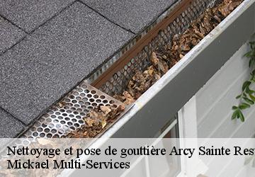 Nettoyage et pose de gouttière arcy-sainte-restitue-02130 Mickael Multi-Services