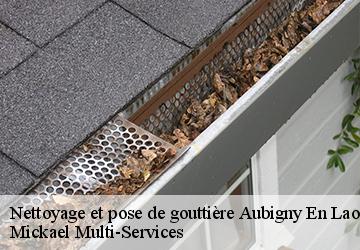 Nettoyage et pose de gouttière aubigny-en-laonnois-02820 Mickael Multi-Services