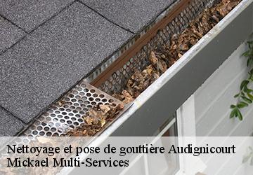 Nettoyage et pose de gouttière audignicourt-02300 Mickael Multi-Services