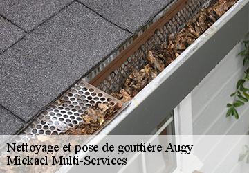 Nettoyage et pose de gouttière augy-02220 Mickael Multi-Services