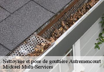 Nettoyage et pose de gouttière autremencourt-02250 Mickael Multi-Services