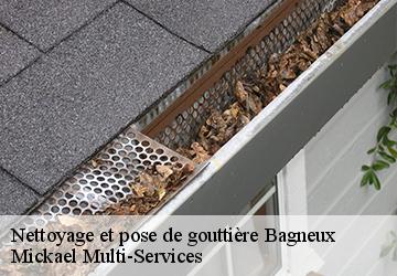 Nettoyage et pose de gouttière bagneux-02290 Mickael Multi-Services