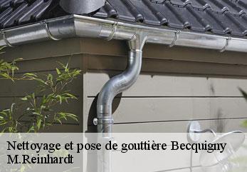 Nettoyage et pose de gouttière  becquigny-02110 M.Reinhardt