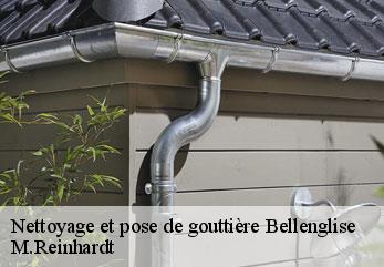 Nettoyage et pose de gouttière  bellenglise-02420 M.Reinhardt