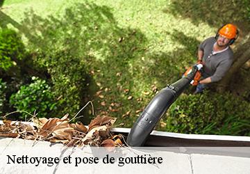 Nettoyage et pose de gouttière