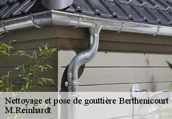 Nettoyage et pose de gouttière  berthenicourt-02240 M.Reinhardt