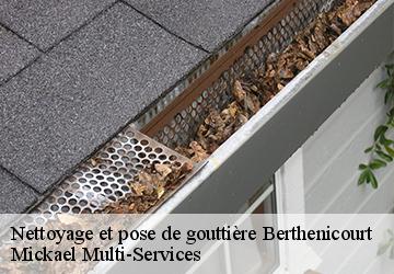 Nettoyage et pose de gouttière berthenicourt-02240 Mickael Multi-Services