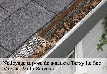 Nettoyage et pose de gouttière berzy-le-sec-02200 Mickael Multi-Services