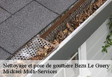 Nettoyage et pose de gouttière bezu-le-guery-02310 Mickael Multi-Services