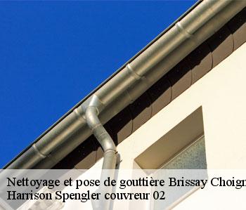 Nettoyage et pose de gouttière  brissay-choigny-02240 Harrison Spengler couvreur 02
