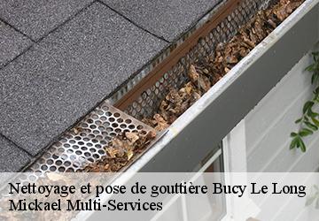 Nettoyage et pose de gouttière bucy-le-long-02880 Mickael Multi-Services