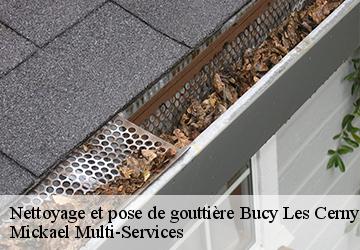 Nettoyage et pose de gouttière bucy-les-cerny-02870 Mickael Multi-Services