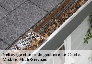 Nettoyage et pose de gouttière le-catelet-02420 Mickael Multi-Services