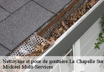 Nettoyage et pose de gouttière la-chapelle-sur-chezy-02570 Mickael Multi-Services