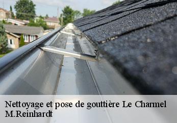 Nettoyage et pose de gouttière  le-charmel-02850 M.Reinhardt