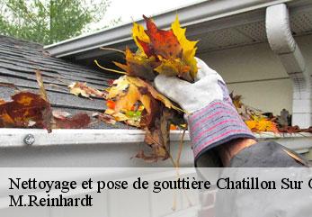 Nettoyage et pose de gouttière  chatillon-sur-oise-02240 M.Reinhardt