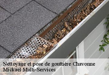 Nettoyage et pose de gouttière chavonne-02370 Mickael Multi-Services