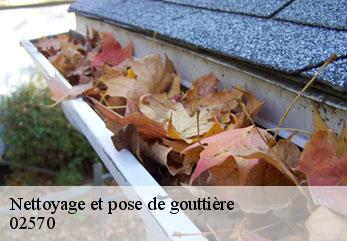 Nettoyage et pose de gouttière  chezy-sur-marne-02570 M.Reinhardt