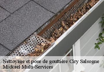Nettoyage et pose de gouttière ciry-salsogne-02220 Mickael Multi-Services