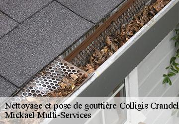 Nettoyage et pose de gouttière colligis-crandelain-02860 Mickael Multi-Services