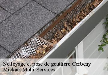 Nettoyage et pose de gouttière corbeny-02820 Mickael Multi-Services