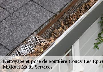 Nettoyage et pose de gouttière coucy-les-eppes-02840 Mickael Multi-Services