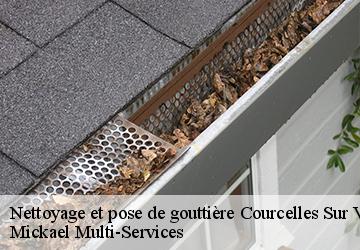 Nettoyage et pose de gouttière courcelles-sur-vesles-02220 Mickael Multi-Services