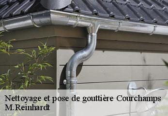 Nettoyage et pose de gouttière  courchamps-02810 M.Reinhardt