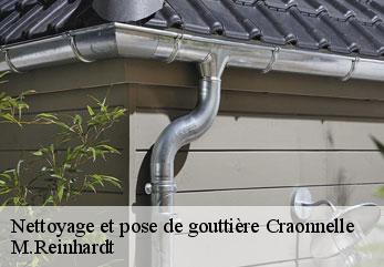 Nettoyage et pose de gouttière craonnelle-02160 M.Reinhardt