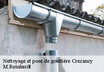 Nettoyage et pose de gouttière crezancy-02650 M.Reinhardt