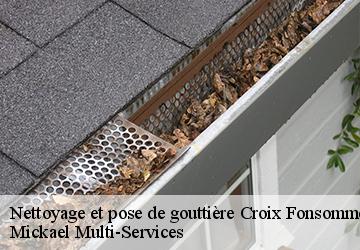 Nettoyage et pose de gouttière croix-fonsommes-02110 Mickael Multi-Services