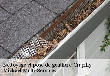 Nettoyage et pose de gouttière crupilly-02120 Mickael Multi-Services