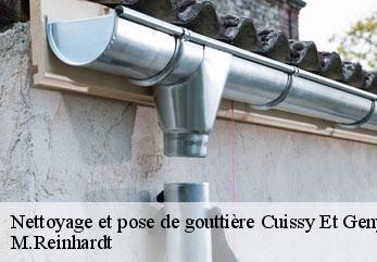Nettoyage et pose de gouttière  cuissy-et-geny-02160 M.Reinhardt