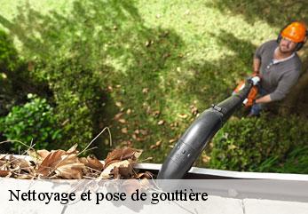 Nettoyage et pose de gouttière  cuisy-en-almont-02200 M.Reinhardt