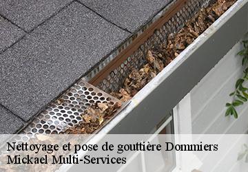 Nettoyage et pose de gouttière dommiers-02600 Mickael Multi-Services