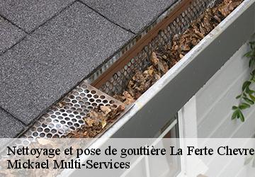 Nettoyage et pose de gouttière la-ferte-chevresis-02270 Mickael Multi-Services
