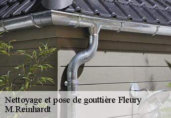 Nettoyage et pose de gouttière  fleury-02600 M.Reinhardt